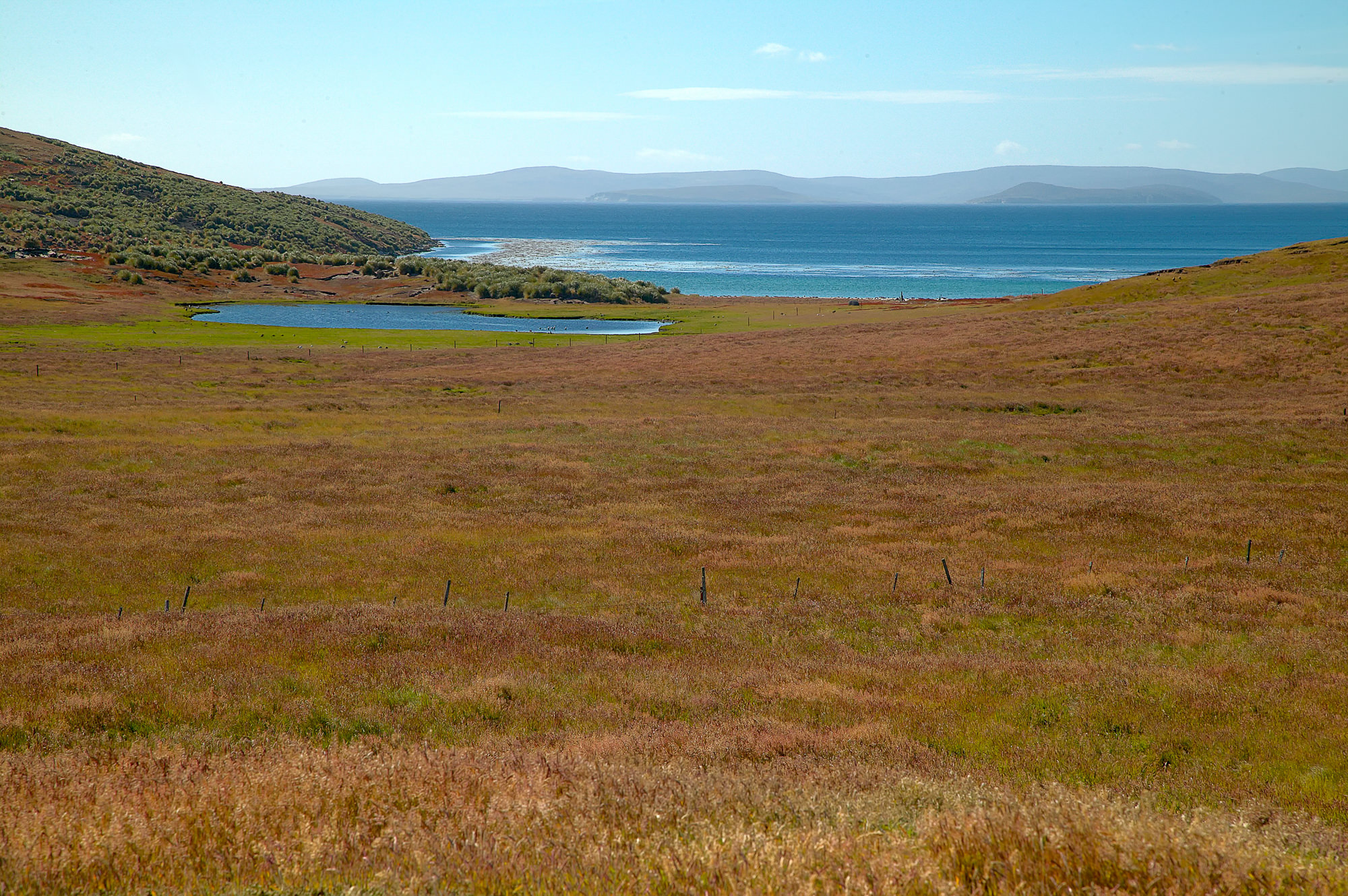 New Island